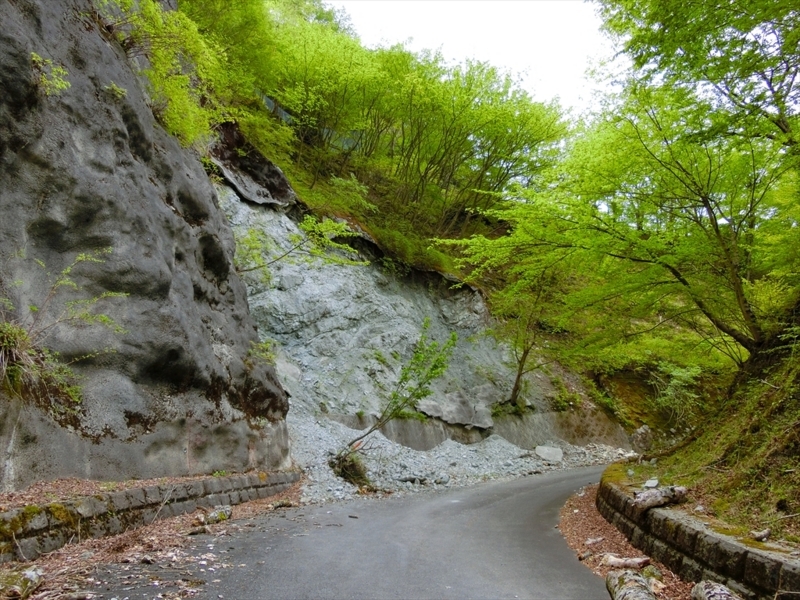 f:id:Margatroid:20180504111857j:plain f:id:Margatroid:20180504111857j:plain