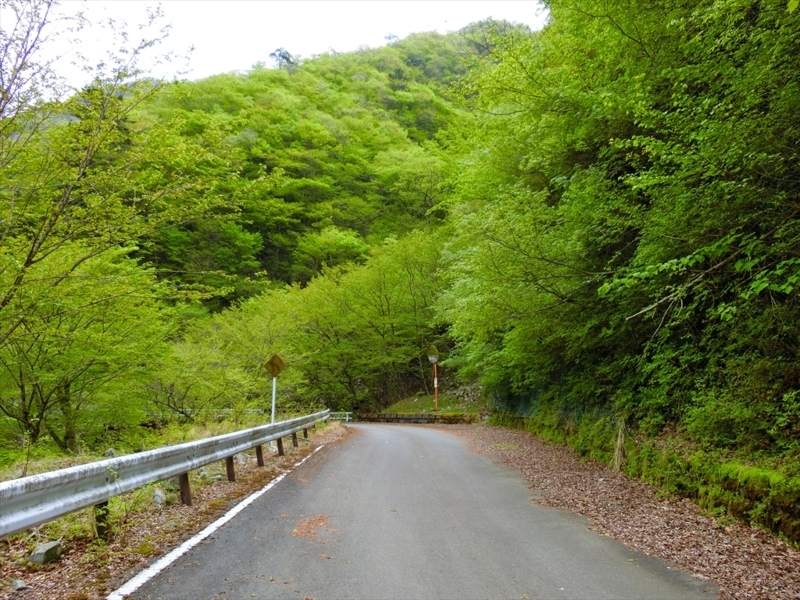 f:id:Margatroid:20180504111901j:plain f:id:Margatroid:20180504111901j:plain