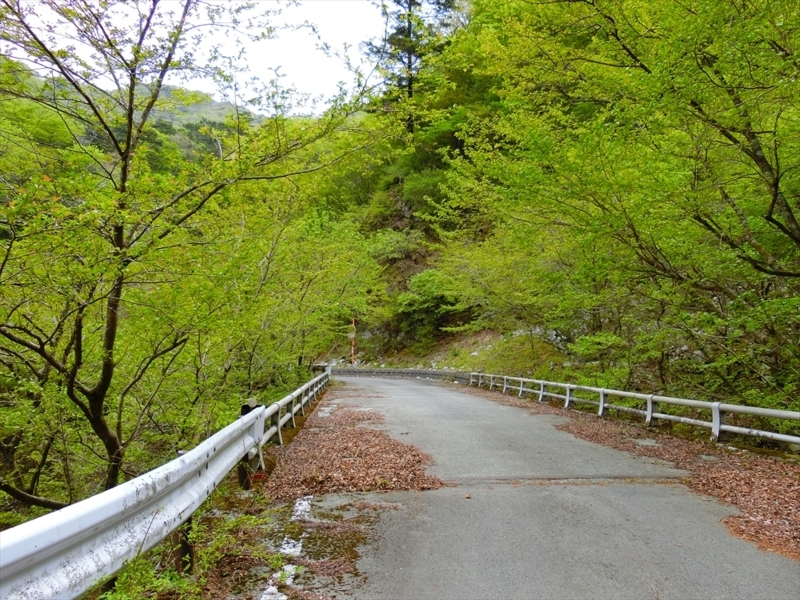 f:id:Margatroid:20180504111902j:plain f:id:Margatroid:20180504111902j:plain