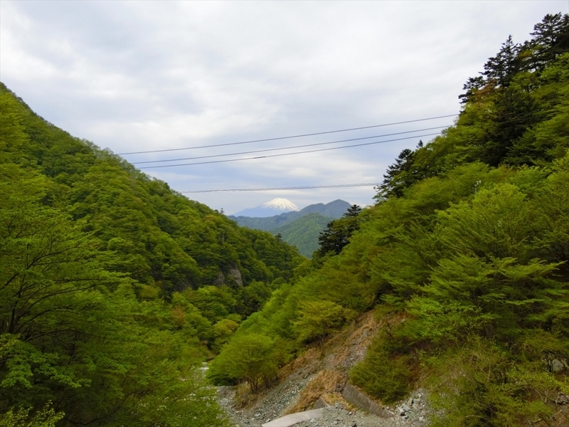 f:id:Margatroid:20180504111908j:plain f:id:Margatroid:20180504111908j:plain