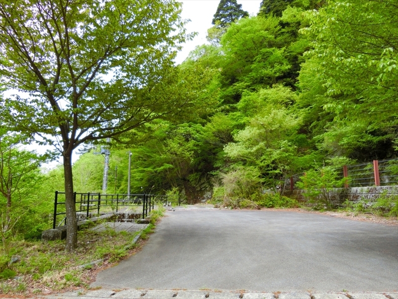 f:id:Margatroid:20180504111914j:plain f:id:Margatroid:20180504111914j:plain