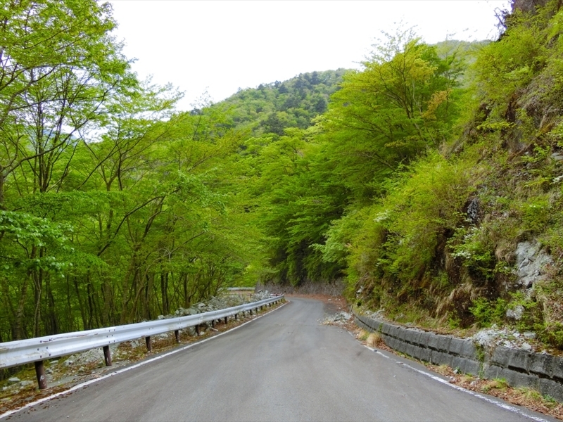 f:id:Margatroid:20180504111941j:plain f:id:Margatroid:20180504111941j:plain