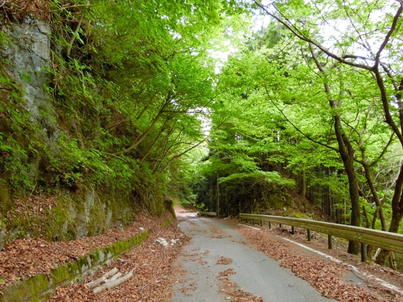 f:id:Margatroid:20180504111945j:plain f:id:Margatroid:20180504111945j:plain