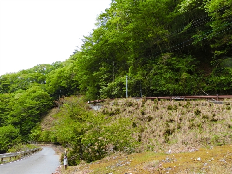 f:id:Margatroid:20180504111947j:plain f:id:Margatroid:20180504111947j:plain