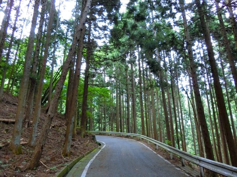 f:id:Margatroid:20180701102511j:plain f:id:Margatroid:20180701102511j:plain