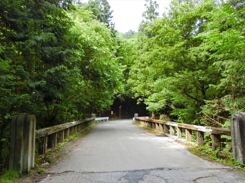 f:id:Margatroid:20180701102512j:plain f:id:Margatroid:20180701102512j:plain