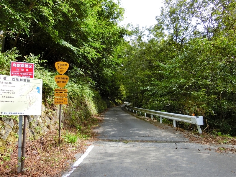 f:id:Margatroid:20180922181335j:plain f:id:Margatroid:20180922181335j:plain