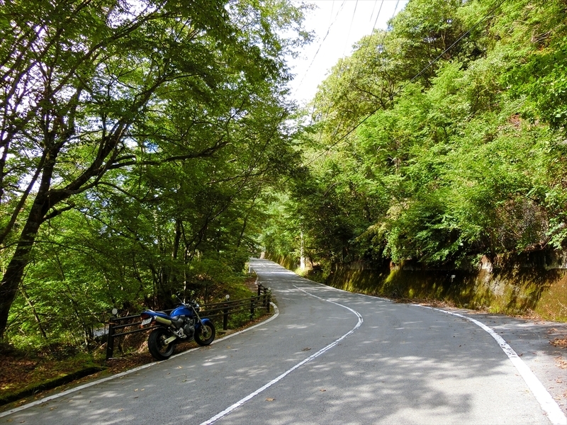 f:id:Margatroid:20180922181336j:plain f:id:Margatroid:20180922181336j:plain