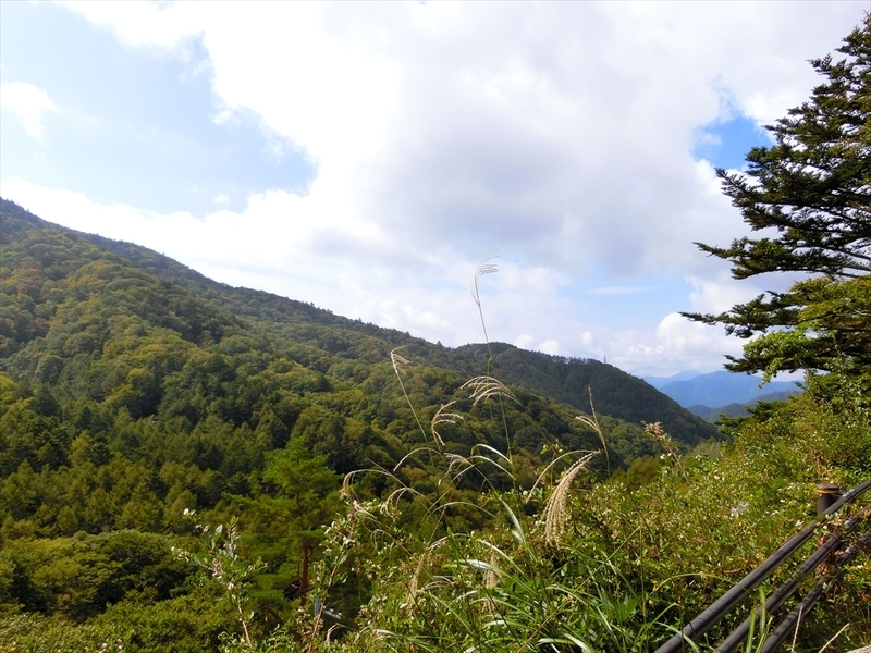 f:id:Margatroid:20180922181337j:plain f:id:Margatroid:20180922181337j:plain