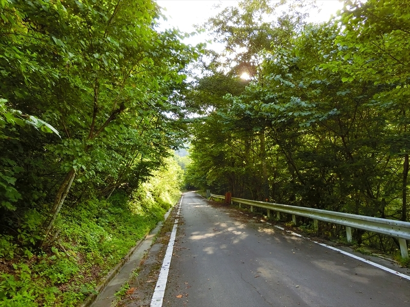 f:id:Margatroid:20180922181432j:plain f:id:Margatroid:20180922181432j:plain