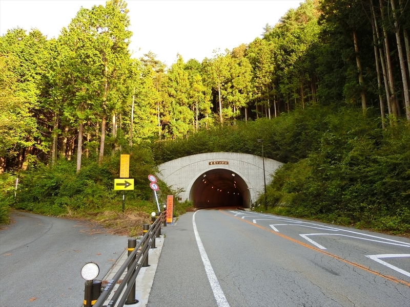 f:id:Margatroid:20180922181450j:plain f:id:Margatroid:20180922181450j:plain