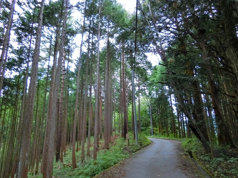 f:id:Margatroid:20180922181608j:plain