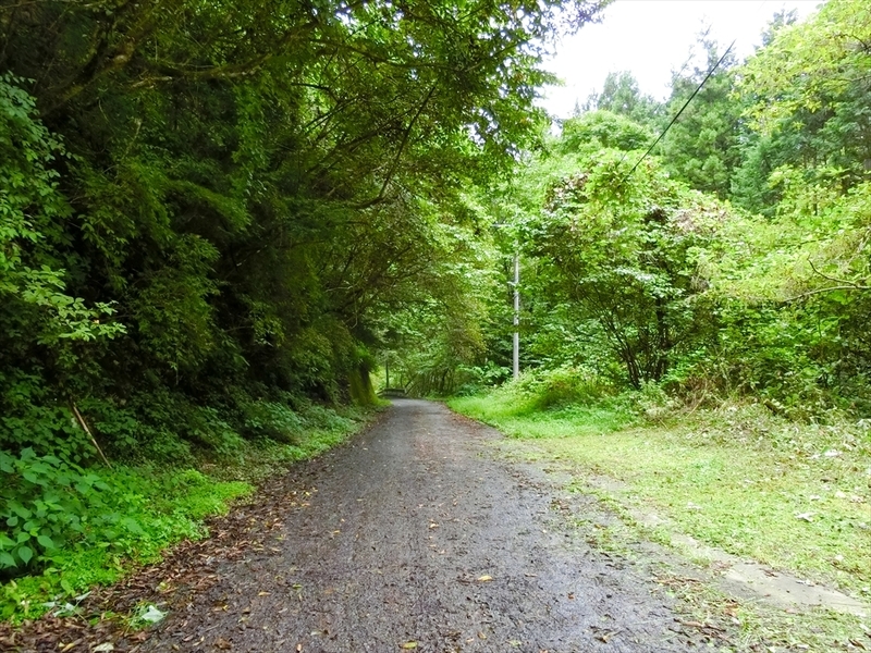 f:id:Margatroid:20180922181622j:plain