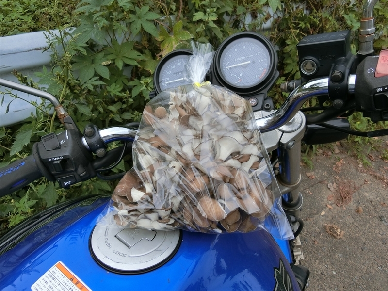 f:id:Margatroid:20180922181628j:plain