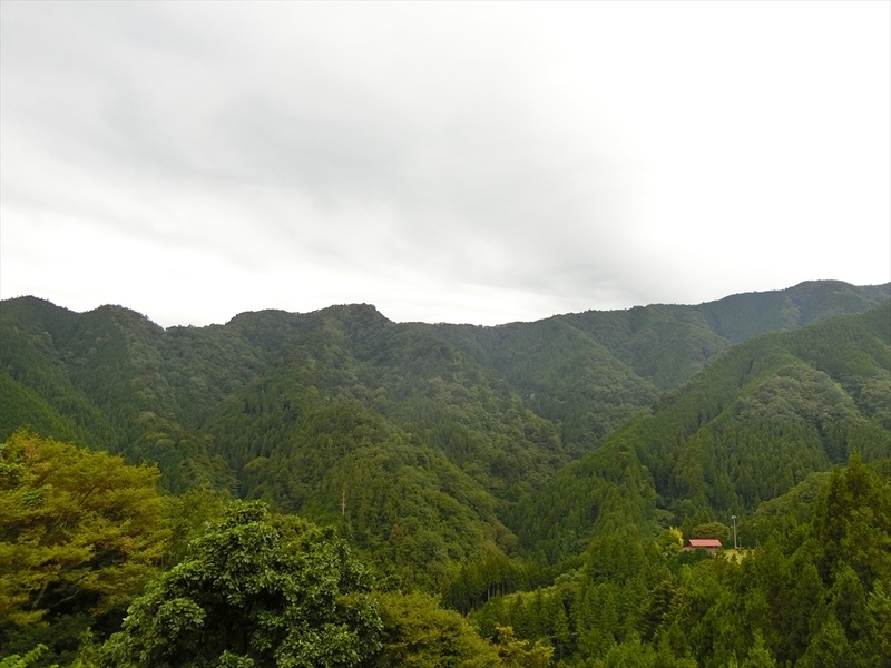 f:id:Margatroid:20180922181630j:plain