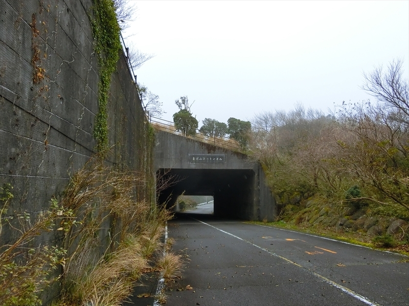 f:id:Margatroid:20181117160152j:plain f:id:Margatroid:20181117160152j:plain