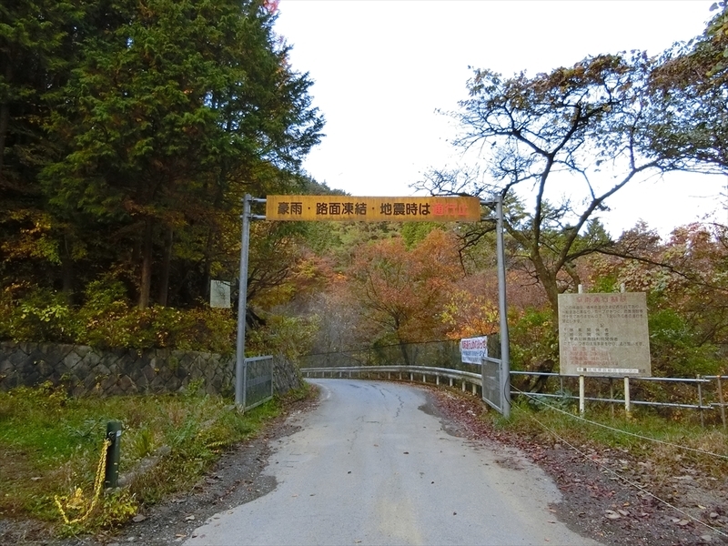 f:id:Margatroid:20181211104637j:plain