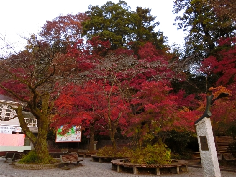 f:id:Margatroid:20181211151259j:plain f:id:Margatroid:20181211151259j:plain