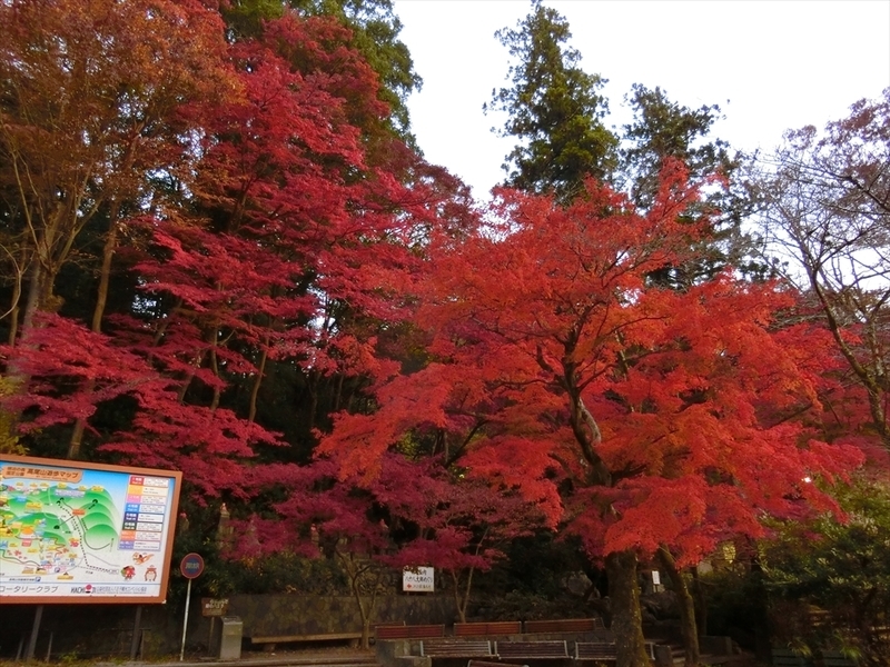 f:id:Margatroid:20181211151301j:plain f:id:Margatroid:20181211151301j:plain