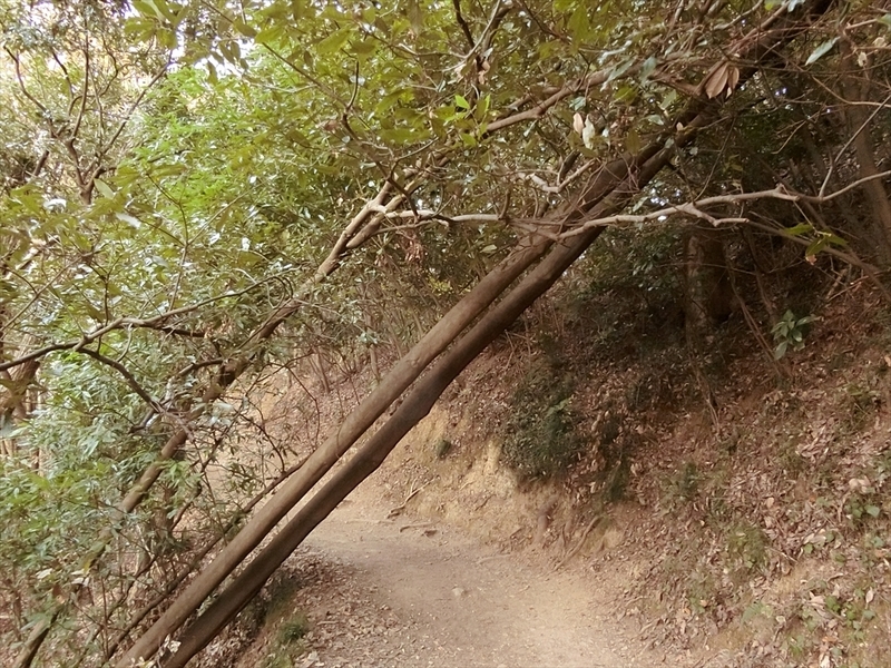 f:id:Margatroid:20181211151306j:plain f:id:Margatroid:20181211151306j:plain