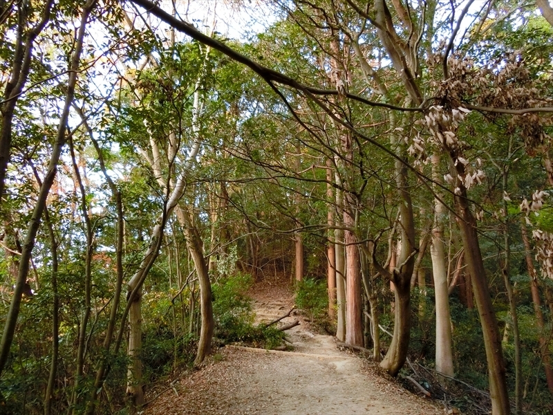 f:id:Margatroid:20181211151307j:plain f:id:Margatroid:20181211151307j:plain