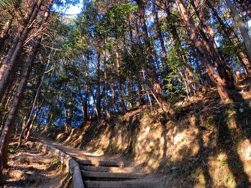 f:id:Margatroid:20181211151311j:plain f:id:Margatroid:20181211151311j:plain