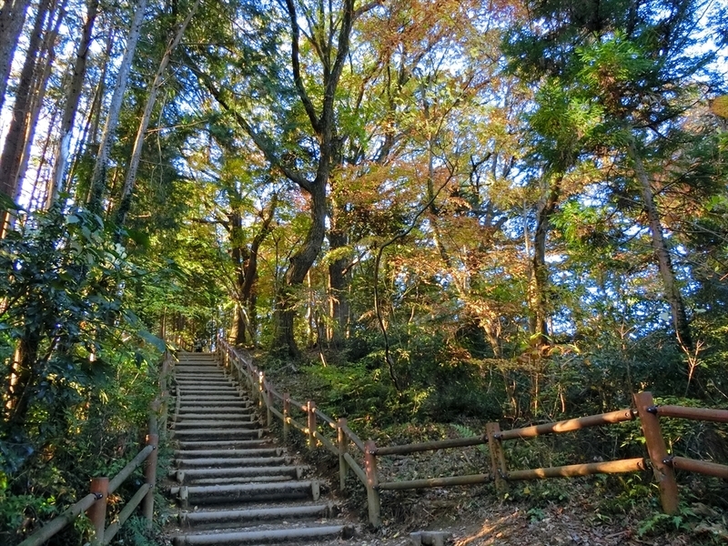 f:id:Margatroid:20181211151320j:plain f:id:Margatroid:20181211151320j:plain