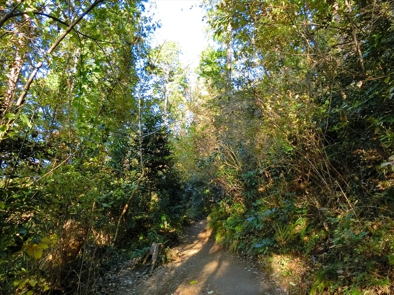 f:id:Margatroid:20181211151322j:plain f:id:Margatroid:20181211151322j:plain