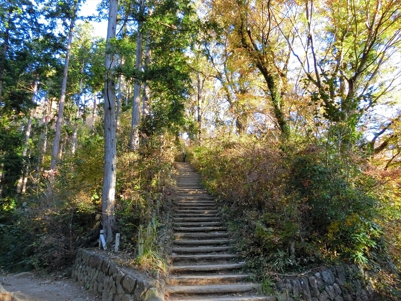 f:id:Margatroid:20181211151323j:plain f:id:Margatroid:20181211151323j:plain