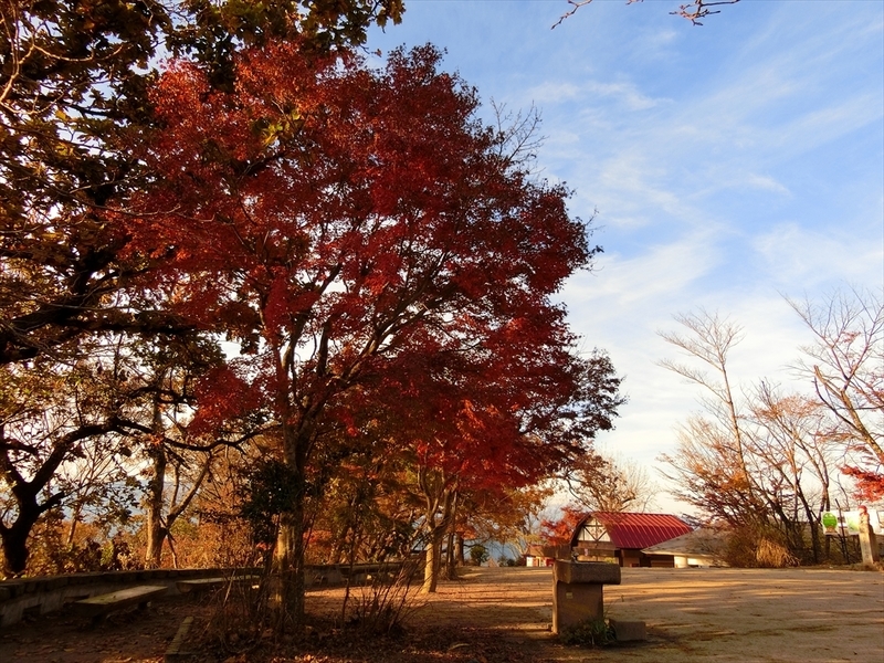 f:id:Margatroid:20181211151330j:plain f:id:Margatroid:20181211151330j:plain