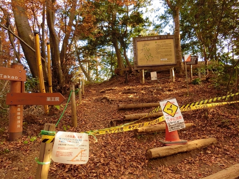 f:id:Margatroid:20181211151706j:plain f:id:Margatroid:20181211151706j:plain