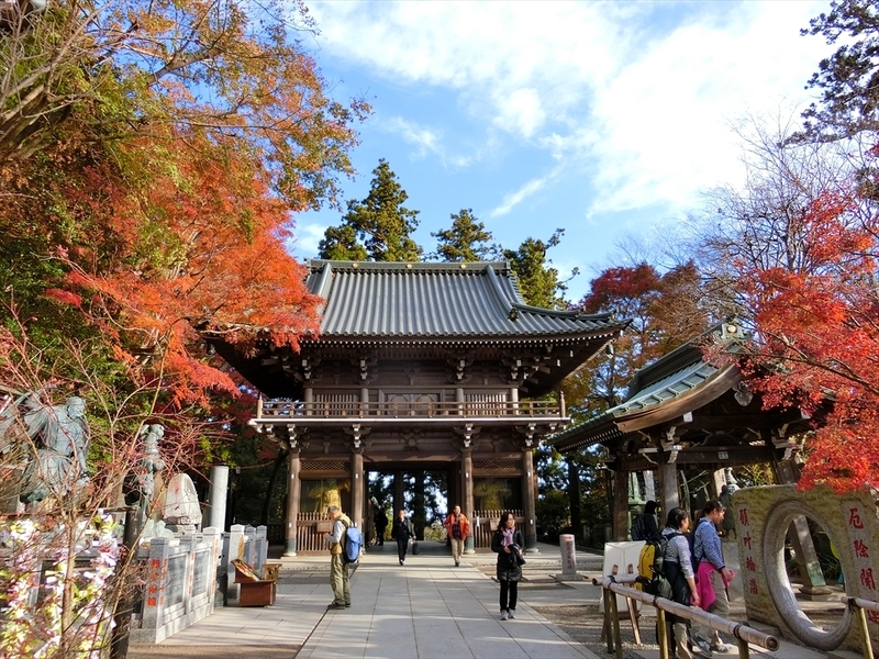 f:id:Margatroid:20181211151712j:plain f:id:Margatroid:20181211151712j:plain