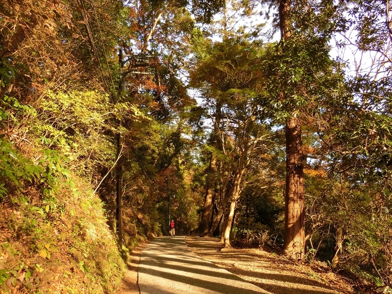 f:id:Margatroid:20181211151720j:plain f:id:Margatroid:20181211151720j:plain