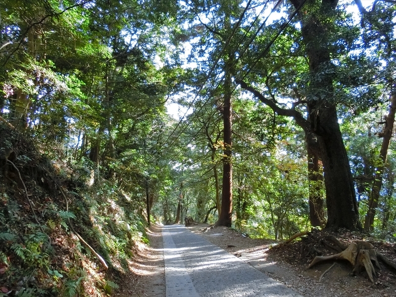 f:id:Margatroid:20181211151721j:plain f:id:Margatroid:20181211151721j:plain