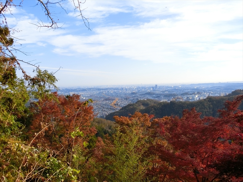 f:id:Margatroid:20181211151722j:plain f:id:Margatroid:20181211151722j:plain