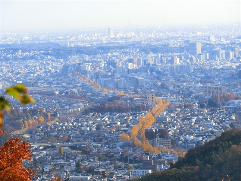 f:id:Margatroid:20181211151723j:plain f:id:Margatroid:20181211151723j:plain