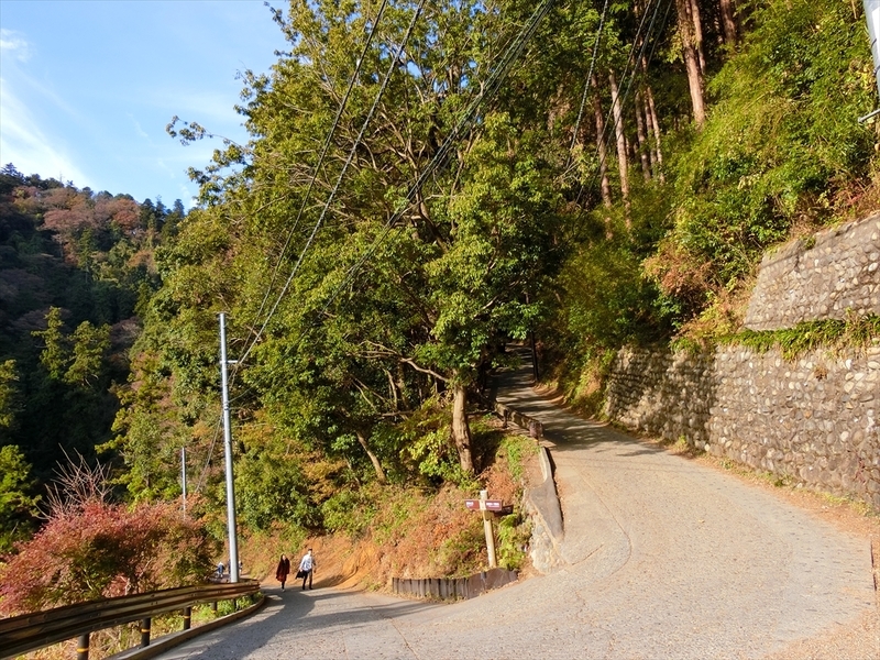 f:id:Margatroid:20181211151726j:plain f:id:Margatroid:20181211151726j:plain