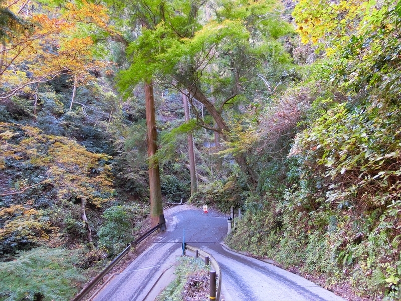 f:id:Margatroid:20181211151727j:plain f:id:Margatroid:20181211151727j:plain