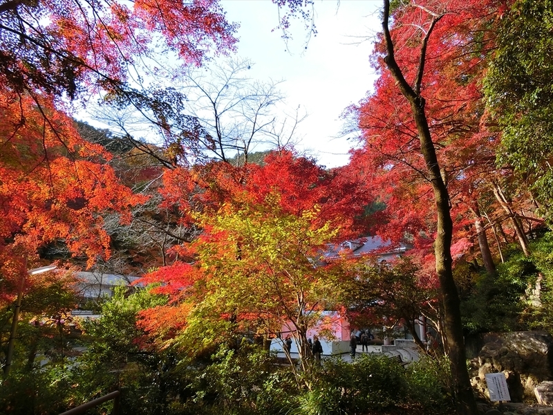 f:id:Margatroid:20181211151729j:plain f:id:Margatroid:20181211151729j:plain