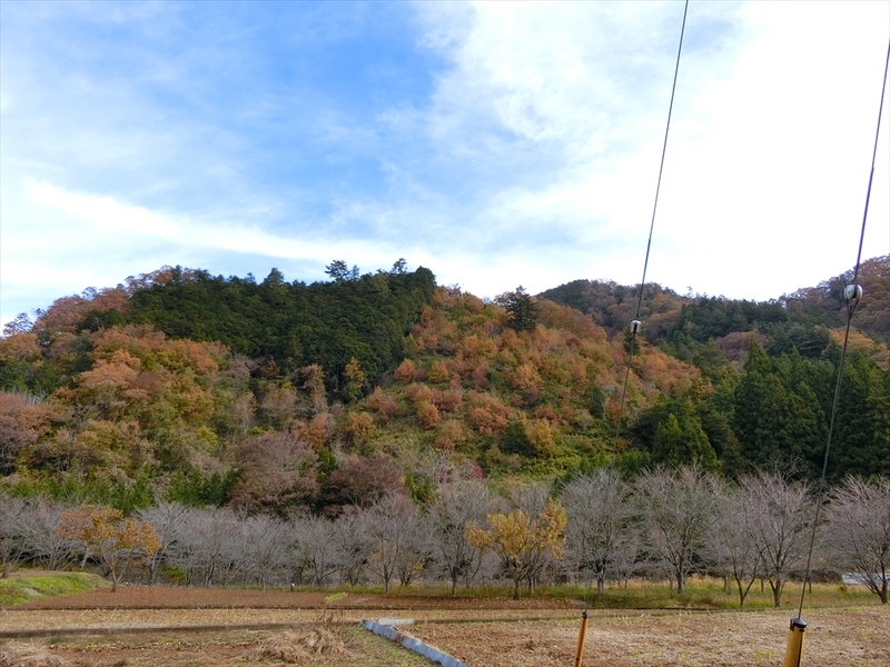 f:id:Margatroid:20181211151924j:plain f:id:Margatroid:20181211151924j:plain