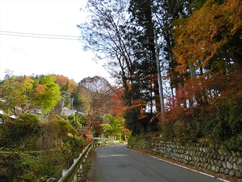 f:id:Margatroid:20181211151927j:plain f:id:Margatroid:20181211151927j:plain