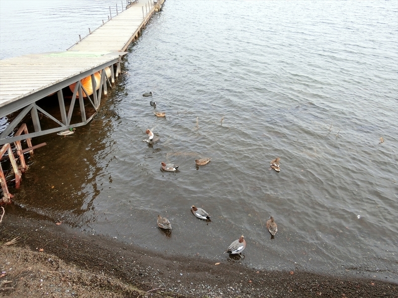 f:id:Margatroid:20181211151941j:plain f:id:Margatroid:20181211151941j:plain