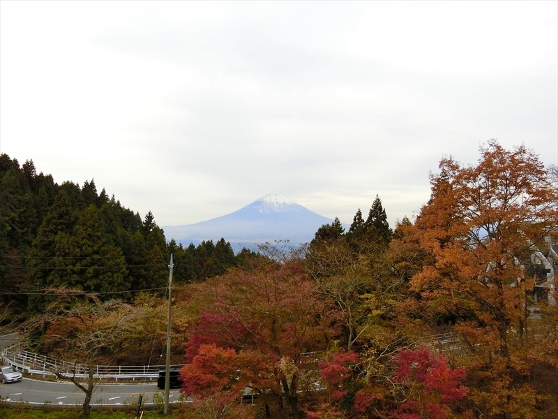 f:id:Margatroid:20181211151946j:plain f:id:Margatroid:20181211151946j:plain