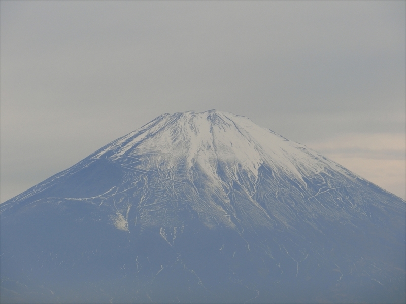 f:id:Margatroid:20181211151947j:plain f:id:Margatroid:20181211151947j:plain