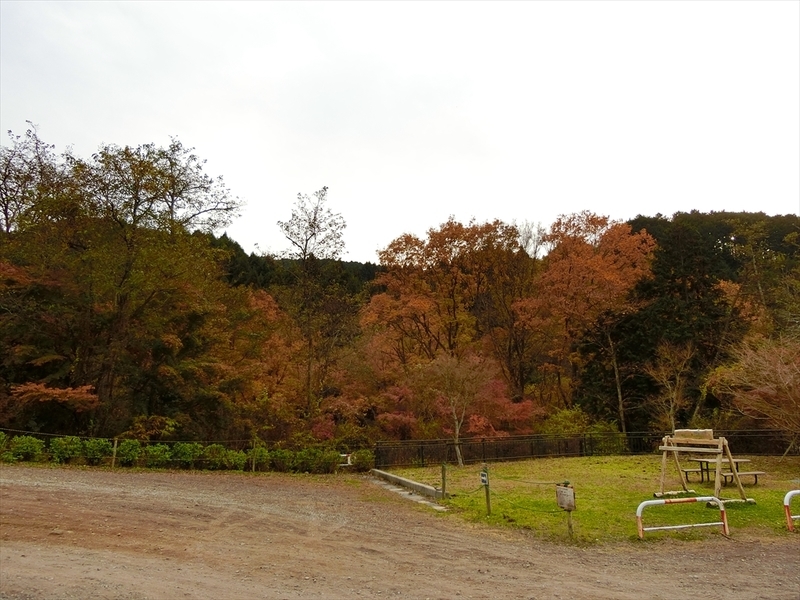 f:id:Margatroid:20181211151951j:plain f:id:Margatroid:20181211151951j:plain