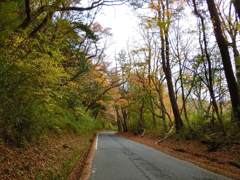 f:id:Margatroid:20181211151954j:plain f:id:Margatroid:20181211151954j:plain