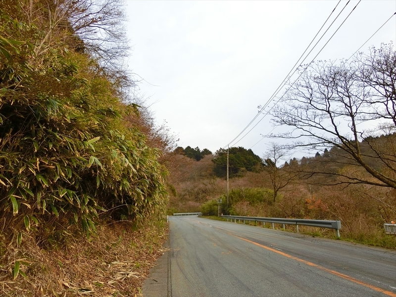 f:id:Margatroid:20181211151956j:plain f:id:Margatroid:20181211151956j:plain