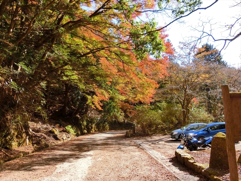 f:id:Margatroid:20190103090301j:plain f:id:Margatroid:20190103090301j:plain