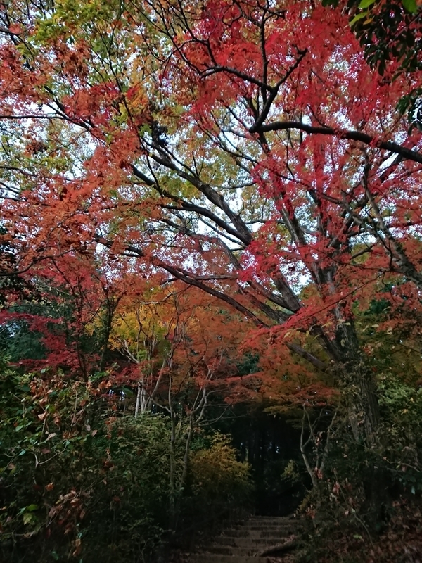 f:id:Margatroid:20190103090743j:plain f:id:Margatroid:20190103090743j:plain