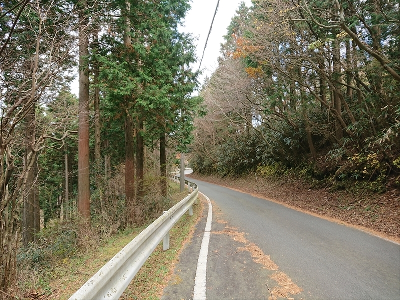 f:id:Margatroid:20190103090811j:plain f:id:Margatroid:20190103090811j:plain